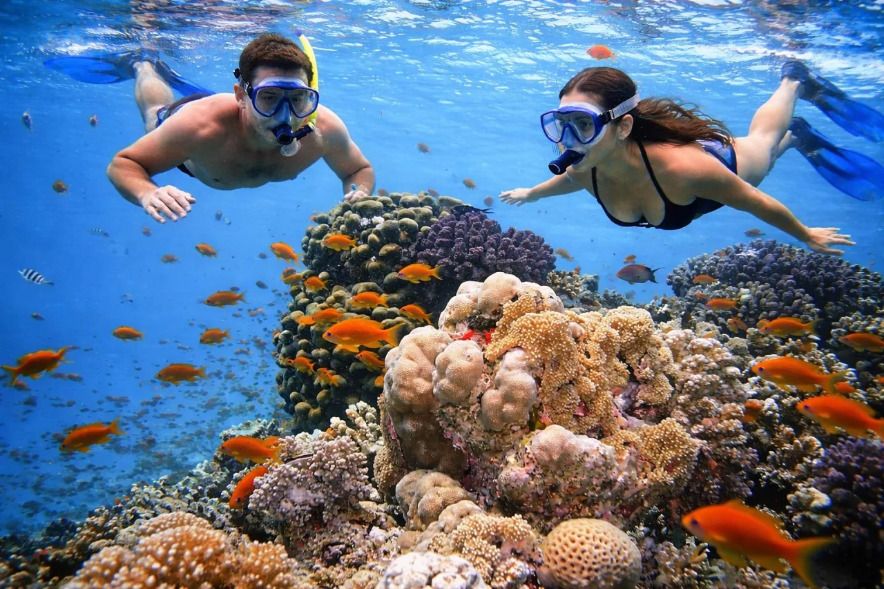 Djeu Snorkelling