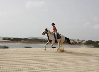 Horse Riding in Boa Vista