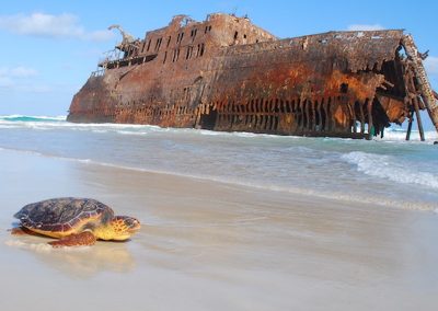 DSC_0328-Cópia-min